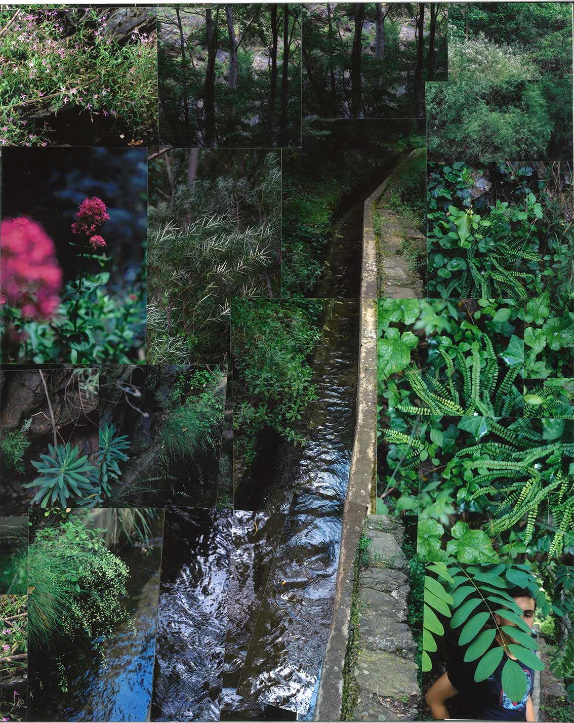 Cultiver la pluie recolter le soleil/photos/13.jpg